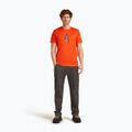 Men's T-shirt icebreaker Merino 150 Tech Lite Bear Tour fervid 2