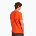 Men's T-shirt icebreaker Merino 150 Tech Lite Bear Tour fervid 3