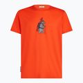 Men's T-shirt icebreaker Merino 150 Tech Lite Bear Tour fervid 7
