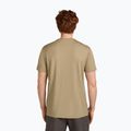 Men's T-shirt icebreaker Merino 150 Tech Lite Ruapehu Round flagstone 3