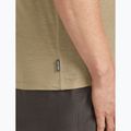 Men's T-shirt icebreaker Merino 150 Tech Lite Ruapehu Round flagstone 5