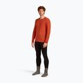 Men's thermal base layer top icebreaker 200 Oasis Crewe agate 4