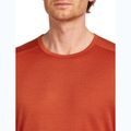 Men's thermal base layer top icebreaker 200 Oasis Crewe agate 6