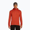 Men's sweatshirt icebreaker Merino 260 Quantum IV Zip Hoodie agate