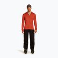 Men's sweatshirt icebreaker Merino 260 Quantum IV Zip Hoodie agate 2