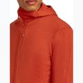 Men's sweatshirt icebreaker Merino 260 Quantum IV Zip Hoodie agate 8