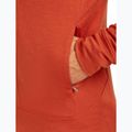 Men's sweatshirt icebreaker Merino 260 Quantum IV Zip Hoodie agate 9