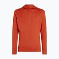 Men's sweatshirt icebreaker Merino 260 Quantum IV Zip Hoodie agate 10
