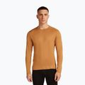 Men's thermal longsleeve icebreaker 260 Tech Crewe trail