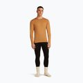 Men's thermal longsleeve icebreaker 260 Tech Crewe trail 4