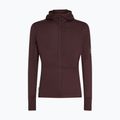 Men's trekking sweatshirt icebreaker Merino 200 RealFleece Descender Zip Hoodie java 10