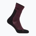 Men's socks icebreaker Merino Hike+ Heavy Crew java/black