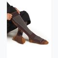 Men's ski socks Icebreaker Merino Ski+ Medium OTC java/trail/seaglass 4