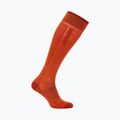 Men's ski socks icebreaker Merino Ski+ Ultralight OTC fervid/agate