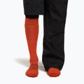 Men's ski socks icebreaker Merino Ski+ Ultralight OTC fervid/agate 4