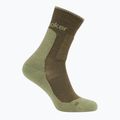 Icebreaker Merino Hike+ Medium Crew men's socks loden/lichen