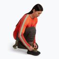 Icebreaker Merino Hike+ Medium Crew men's socks loden/lichen 5