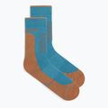 Icebreaker men's socks Merino Hike+ Medium Crew topaz/trail 2