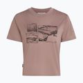 Women's T-shirt icebreaker Merino 150 Tech Lite Crop The Climb summit 7
