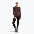 Icebreaker women's thermal longsleeve 200 Oasis Crewe java 5