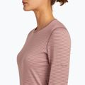 Women's thermal base layer top icebreaker 200 Oasis Crewe summit/blush/s 5