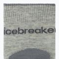 Women's socks icebreaker Merino Hike+ Light Crew 2 pairs blizzar hthr/alloy 3