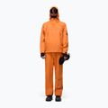 Men's trousers Napapijri N-Arver orange pumpkin 2