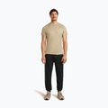Men's T-shirt icebreaker Merino 150 Tech Lite Peaceful Pass Tee flagstone 2