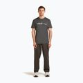 Men's T-shirt icebreaker Merino 150 Tech Lite The Peaks obsigian 2