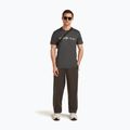 Men's T-shirt icebreaker Merino 150 Tech Lite The Peaks obsigian 4
