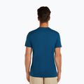 Men's T-shirt icebreaker Merino 150 Tech Lite The Peaks atlantis 3