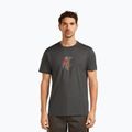 Men's T-shirt icebreaker Merino 150 Tech Lite Bear Catch Tee obsidian