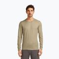 Men's thermal longsleeve Icebreaker 200 Oasis Crewe flagstone