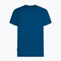 Men's trekking T-shirt icebreaker Merino 125 Cool-Lite Sphere III Tee atlantis 7