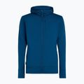 Men's sweatshirt icebreaker Merino 260 Quantum IV Zip Hoodie atlantis 10