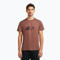 Men's T-shirt icebreaker Merino Core Canoe Companions carob