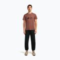 Men's T-shirt icebreaker Merino Core Canoe Companions carob 2