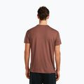 Men's T-shirt icebreaker Merino Core Canoe Companions carob 3