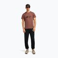 Men's T-shirt icebreaker Merino Core Canoe Companions carob 4