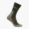 Men's socks icebreaker Merino Hike+ Light Crew dark loden/lichen