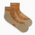 Men's socks Icebreaker Merino Hike+ Light Mini trail/flagstone 2
