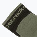 Men's socks Icebreaker Merino Hike+ Light Mini dark loden/lichen 3