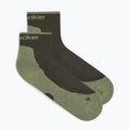 Men's socks Icebreaker Merino Hike+ Light Mini dark loden/lichen 6