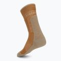 Men's socks Icebreaker Merino Hike+ Medium Crew trail/flagstone 2