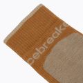 Men's socks Icebreaker Merino Hike+ Medium Crew trail/flagstone 3
