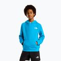 Children's sweatshirt The North Face Teen Box Nse Regular Hoodie meridian blue