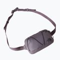 Waist bag The North Face Terra Lumbar 1 l transcendent grey 3