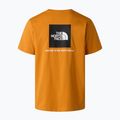 Men's T-shirt The North Face Evolution Box NSE dust orange 6