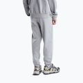 Men's trousers The North Face Evolution Simple Dome Regular Jogger tnf pale grey h 3