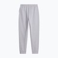 Men's trousers The North Face Evolution Simple Dome Regular Jogger tnf pale grey h 5